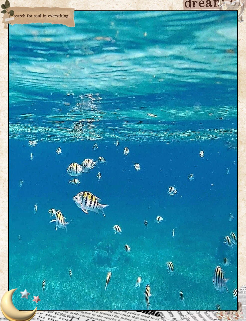 星空水晶潜水节，探索海底奇幻的夜光世界