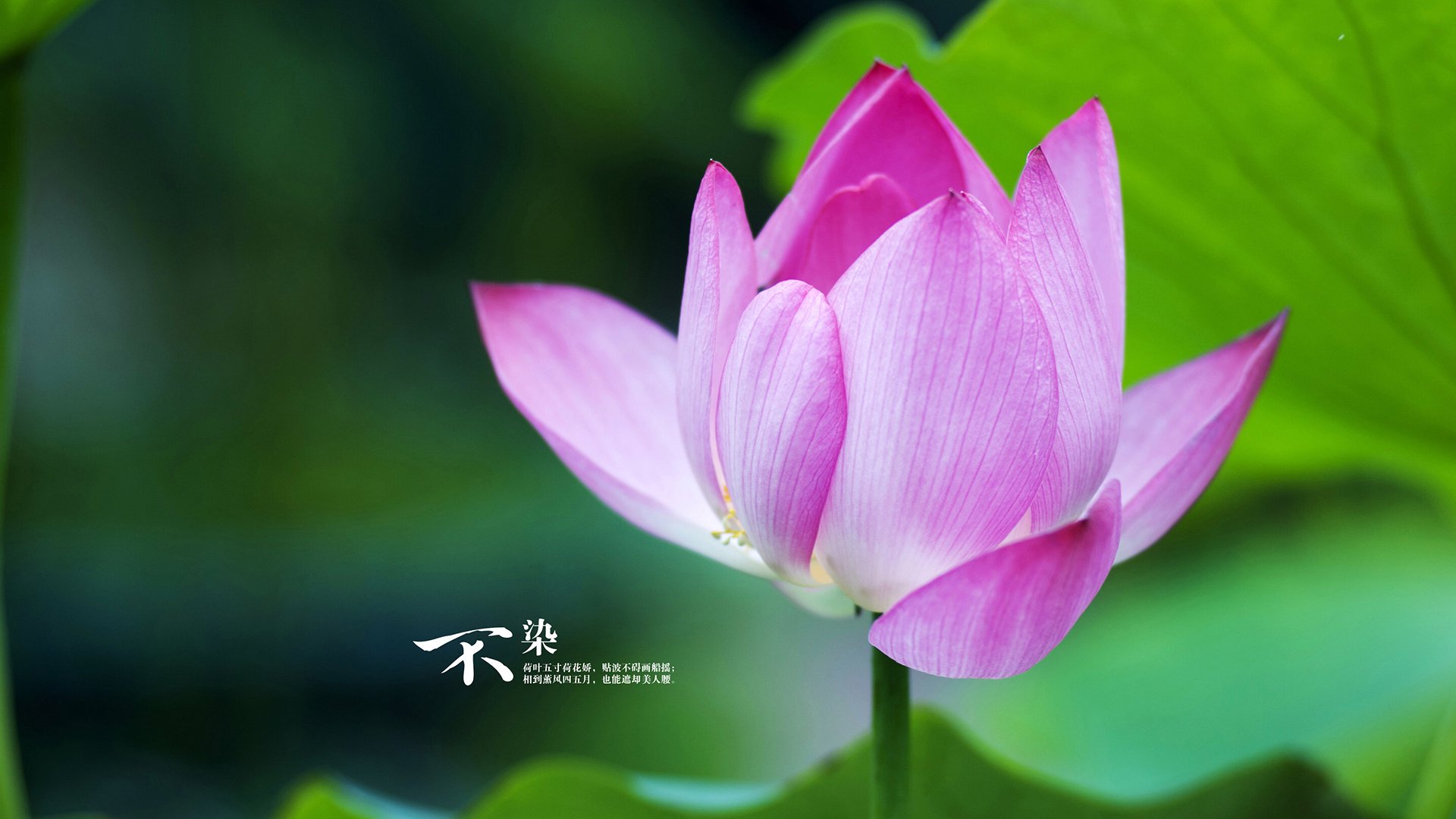 高节奏打法下防守球员是否易体能枯竭，防守强度大时怎么进攻
