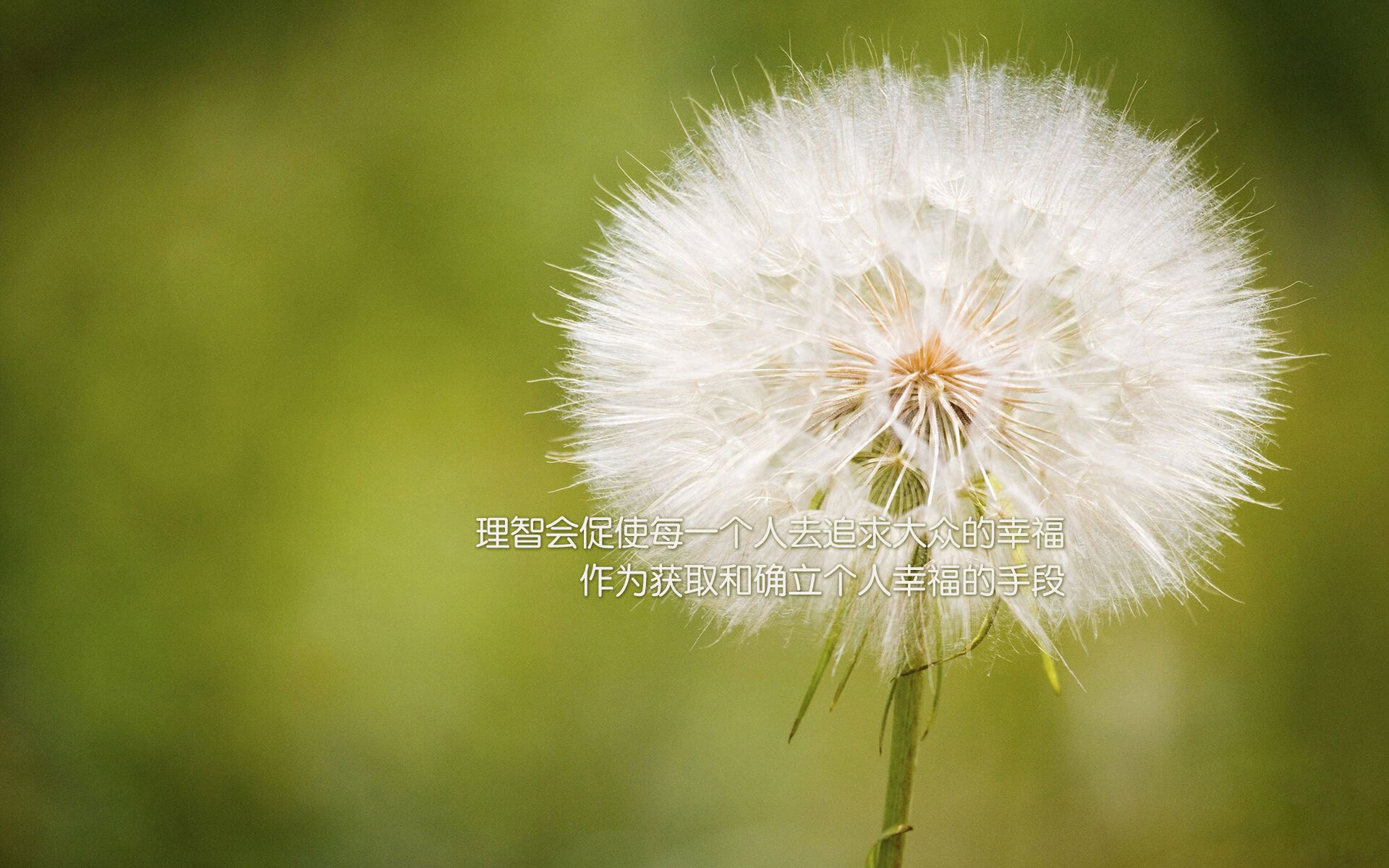 字母哥突破频率上升雄鹿打出高效开局，字母哥伤退雄鹿加时险胜热火