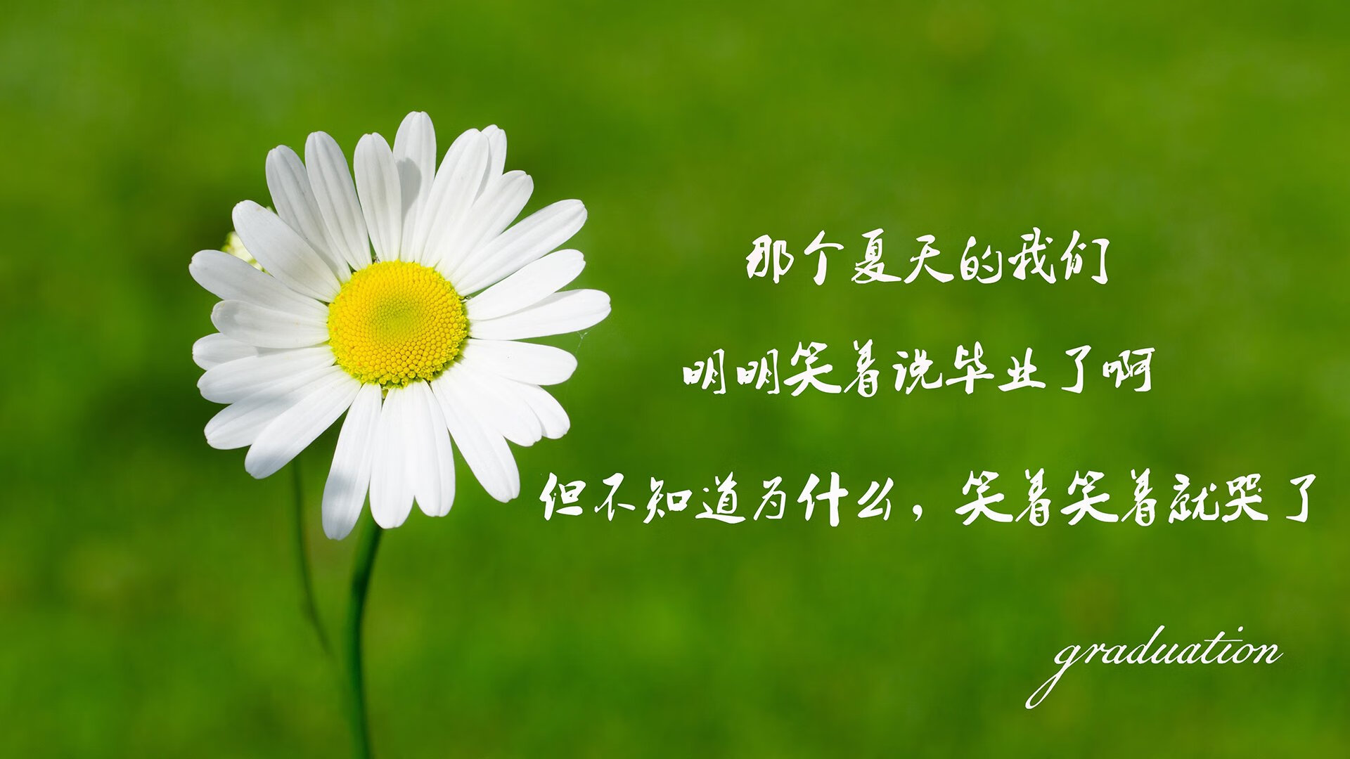 青年联赛裁判培养机制优化选拔机制更加严谨，官方赛事裁判培养计划