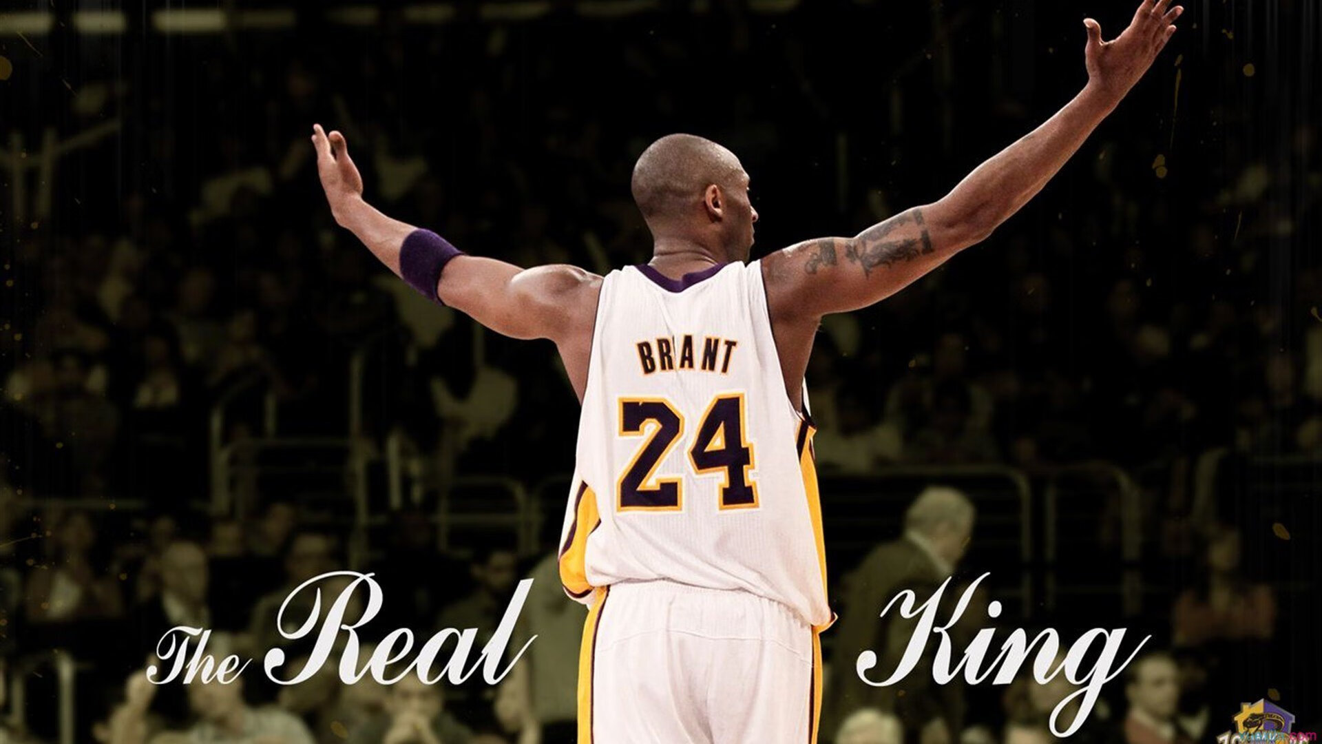 史上最“疯狂”的盖帽集，谁的防守最炸裂？，精彩盖帽集锦