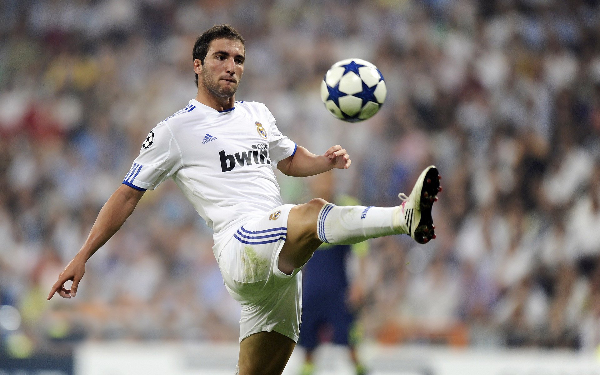 德甲焦点战，教练总结比赛亮点，德甲榜首大战